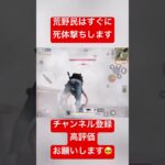 【荒野行動】ダメとは言ってないんだよ？ #荒野実況 #ガソスタ検問 #おすすめ #shorts #shortvideo #knivesout