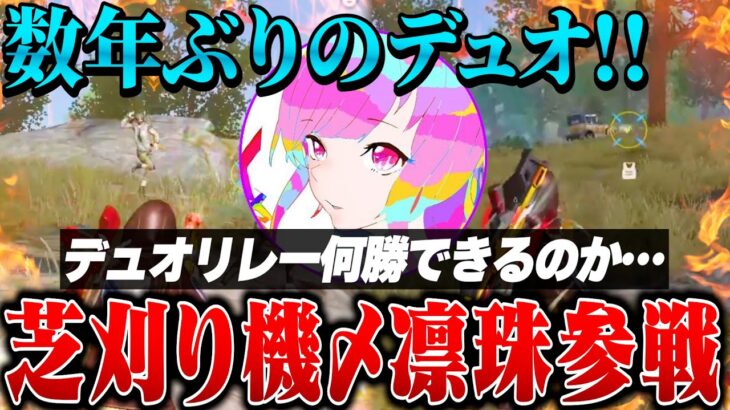 元芝刈り機最強コンビが高額大会リレー出てみたら何勝できるのか？【荒野行動】