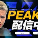 【縦配信】久しぶりPEAK部【荒野行動】