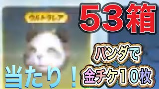 #ペニンシュラ大脱走「53箱開封」超レア〇個【荒野行動】1495PC版「荒野の光」