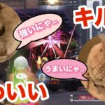 【荒野行動】×【猫】猫好きは見て！かわいいキル集？！