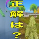 #もこもこクマさん「草ゲーを極めたい」色どうなん？【荒野行動】PC版「荒野の光」