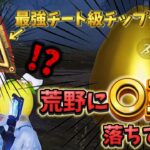 【荒野行動】通常マップに〇玉落ちてる⁉️最強チート級チップが無料でもらえる⁉️とんでもないイベントがやってきた‼️🍋