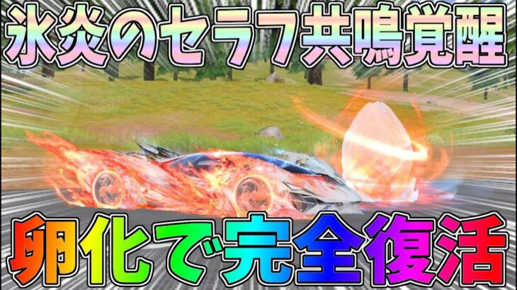 新殿堂「氷炎のセラフ」ガチャ！セダンを共鳴覚醒させて性能検証してみたら特殊スキルが最強だったｗｗ【荒野行動】#1298 Knives Out