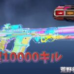 【荒野行動】虹色MK5で1万キル目指す配信！！！！【本気のソロクイン】