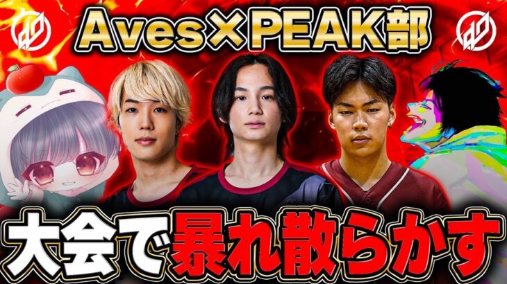 Peak部×Avesの最強混合メンバーが大会で暴れ散らかす【荒野行動】