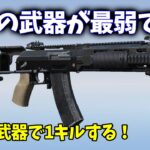 アプデで弱くなりすぎたAK14で１キルできるのか【荒野行動】