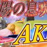 【荒野行動】シーズン報酬で貰えるAK14が強すぎたwww #shorts
