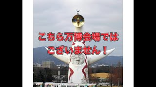 エキスポ【夜の部】やらないか！【荒野行動】1980PC版「荒野の光」 #荒野行動 #荒野組