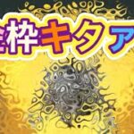 ＃ペニンシュラ大脱走「50箱開封」ｂｙ夢底辺グループ【荒野行動】2034PC版「荒野の光」 #荒野行動 #荒野組