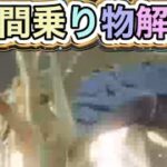#荒野GOGOFES 限定ガチャ「エンジェルリベリオン」🪽5/8(木)0時から登場‼【荒野行動】1979PC版「荒野の光」 #荒野行動 #荒野組