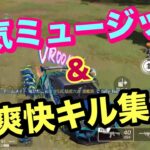 NCS音楽と銃声のコラボレーションキル集！！【荒野行動】