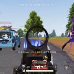 【PC版荒野行動】キル集４