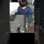 【荒野行動】ガン待ちをSR腰撃ちで抜くのが気持ち良すぎるwww