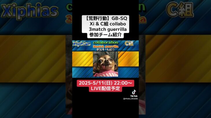 【荒野行動】Xi & C組collabo 3match guerrilla 参加チーム紹介　#荒野行動 #リーグ #ゲーム実況 #ゲリラ#GB #SQ