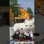 【荒野行動】猫ちゃん可愛すぎ#荒野行動 #殿堂 #鬼滅の刃 #ゲーム #始まりの曲