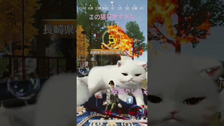 【荒野行動】猫ちゃん可愛すぎ#荒野行動 #殿堂 #鬼滅の刃 #ゲーム #始まりの曲