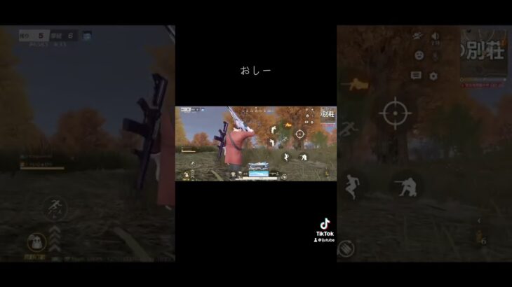 #荒野行動 #荒野 #キル集 #シュタルク