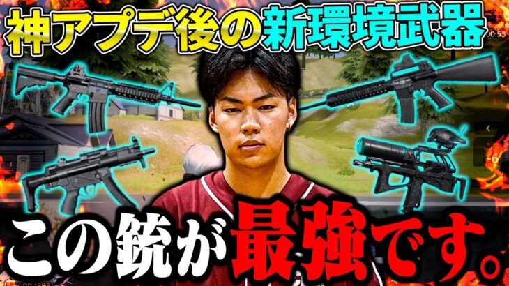 【新環境】全荒野民が絶対に持つべき武器が決定しました。【荒野行動】