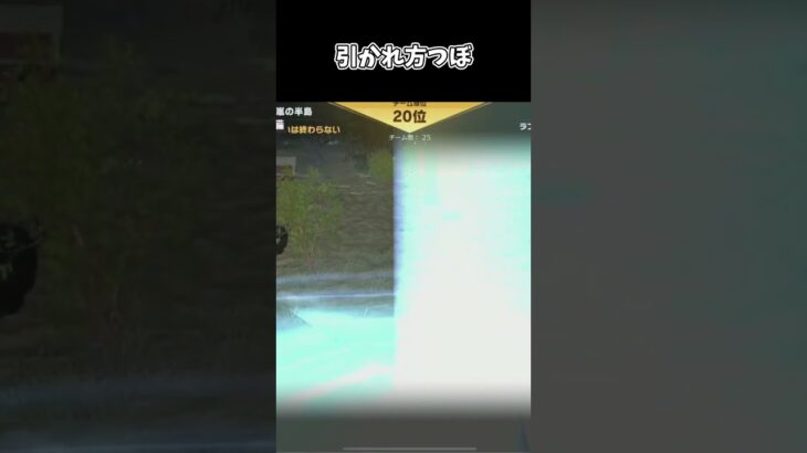 引かれ方がつぼ【荒野行動】