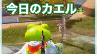 【夜の部】やらないか！【荒野行動】2116PC版『KNIVES OUT』「荒野の光」 #荒野行動 #荒野組