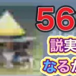 「超レア56箱開けたら殿堂来る説」検証！【荒野行動】PC版『KNIVES OUT』「荒野の光」 #荒野行動  #荒野組