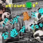 【荒野行動】🍀.⋆6月度🍀.⋆ キングパンダ＆小悪魔お遊びデュオ😈