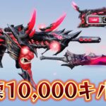 【荒野行動】殿堂81で1万キル目指す配信！！！！【本気のソロクイン】