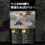 当たりゃAWMもめっちゃ強い！！ #荒野行動 #ペニンシュラ大脱走 #荒野フリーレンコラボ #荒野フリーレンでフリー35連