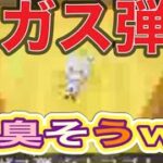 ガス弾「白上フブキ」これいいじゃん！【荒野行動】PC版『KNIVES OUT』「荒野の光」 #荒野行動  #荒野組