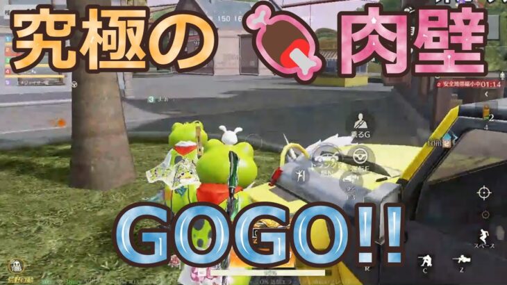 なち子目線　底辺肉壁アタク　#ずんだもん【荒野行動】PC版『KNIVES OUT』「荒野の光」 #荒野行動  #荒野組