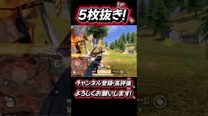 【荒野行動】突っ込んできた敵を最大反撃！🔥ソロクインの勝ち方がここにあります✨️#荒野行動 #荒野 #荒野行動キル集 #knivesout #knivesont大会 #ゲーム実況 #キル集