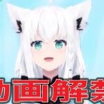#ホロライブ🌽 白上フブキ@shirakamifubukiコメント到着！【荒野行動】2200PC版『KNIVES OUT』「荒野の光」 #荒野行動 #荒野組