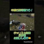 #shorts #荒野行動 腐抹茶による通常シングルキル集　part1の一部