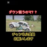 味方の確キルは誰よりも許しませんよ？#荒野行動