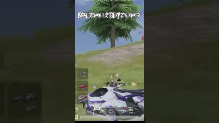 降りていい？降りていい？【荒野行動】