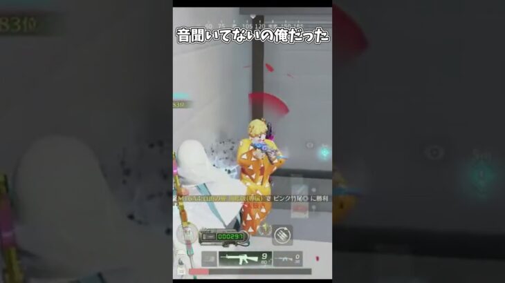 音聞いてないの俺だった【荒野行動】