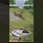 敵の車乗るのが一番おもろい【荒野行動】