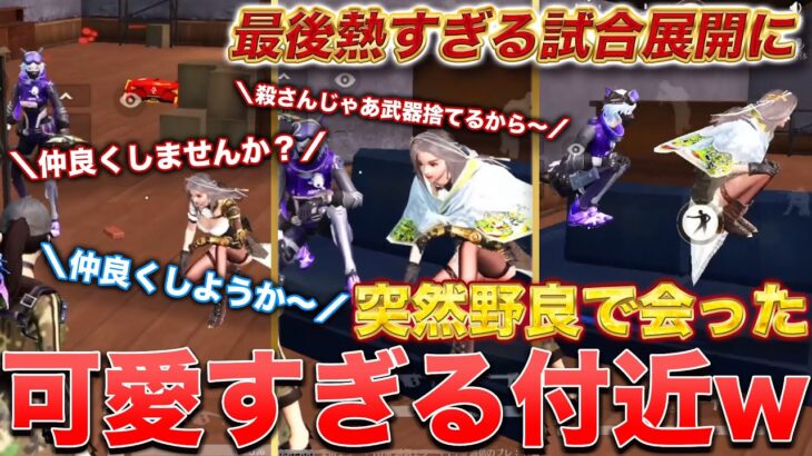 【荒野行動】突然野良で会った付近が可愛すぎるwww 最後熱すぎる試合展開に…