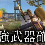 キル集勢がおすすめするこの武器持っとけば余裕でワンパ潰しできますwww【荒野行動】