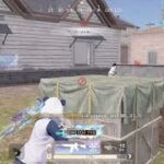【荒野行動】キル集2