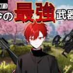 【荒野行動実況】神プレイ連発！ソロスクワッド28キル！【新人YouTuber】