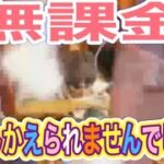 #進撃の巨人「倉庫紹介」by無課金勢【荒野行動】PC版『KNIVES OUT』「荒野の光」　#荒野行動　 #荒野組  　#荒野再開祭　 #荒野行動純金配布