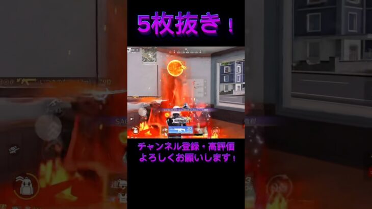 【荒野行動】火力で押し切るフルパ破壊🔥頼りになりすぎる😭✨️#knivesout #knivesont大会 #荒野行動 #荒野 #荒野行動キル集 #ゲーム実況 #キル集