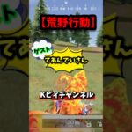 激戦野原も良いですね🔫🦊#荒野行動#shorts#キル集