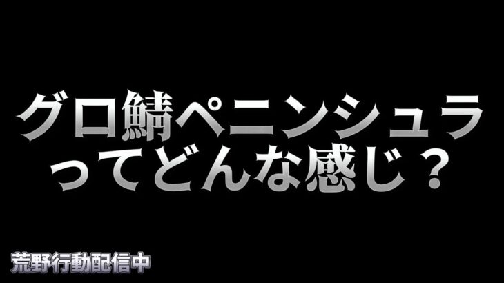 【荒野行動】グロ鯖ペニンシュラに乗り込む配信！！！！【まったりペニンシュラ】