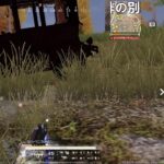 #荒野行動