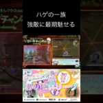 ハゲの一族が強敵に一矢報いるか⁉️ #実況 #ゲーム実況 #ゲーム #リーグ #荒野行動 #いぶにぃチャンネル