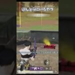 ほんとうにいるやつ【荒野行動】