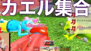 【夜の部】やらないか！【荒野行動】2329PC版『KNIVES OUT』「荒野の光」   #荒野行動 #荒野組  #荒野再開祭 #荒野行動純金配布
